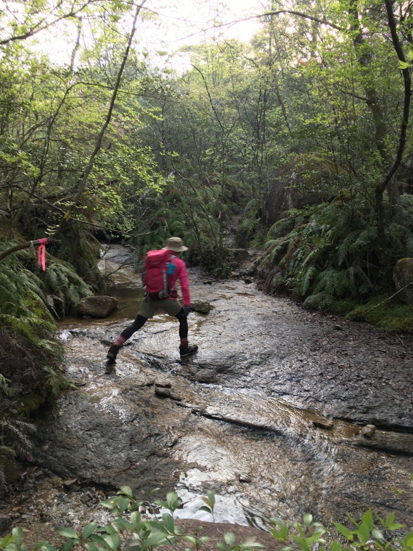20170430konzenalps010