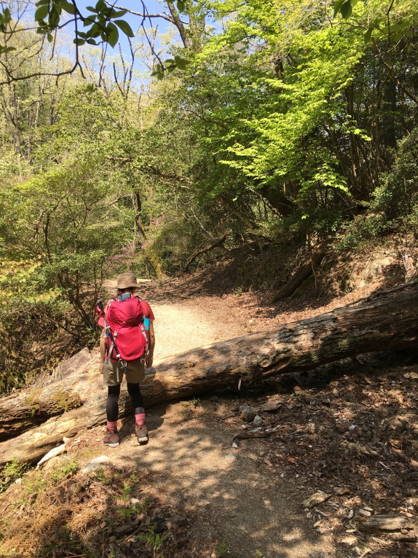 20170430konzenalps050