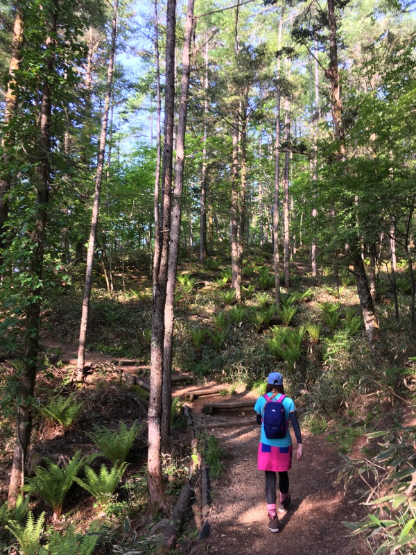 20170610nyukasayama06