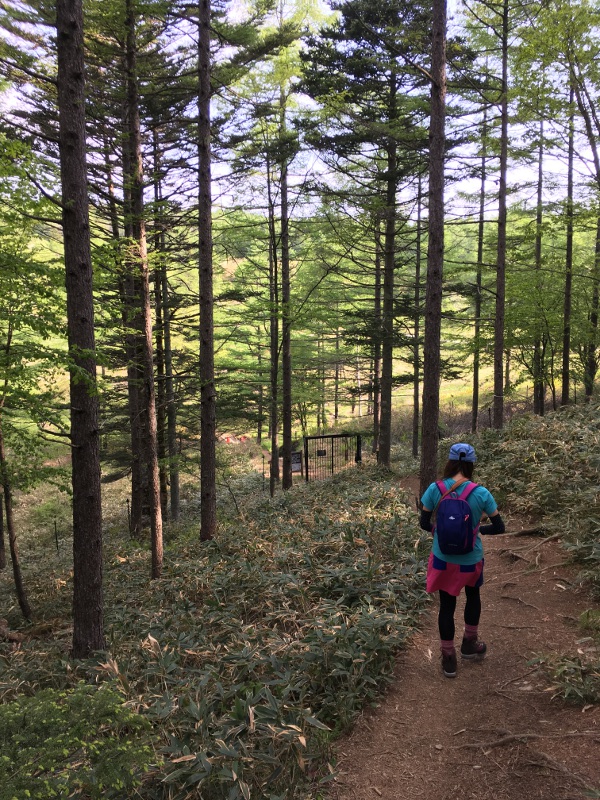 20170610nyukasayama08