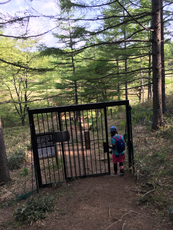 20170610nyukasayama09