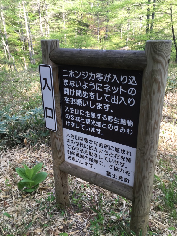 20170610nyukasayama10