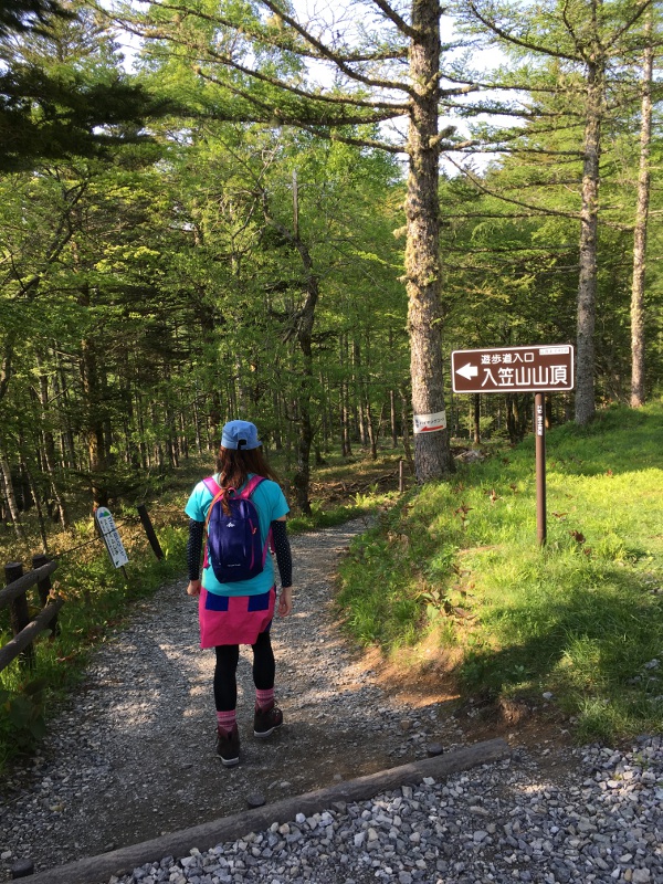 20170610nyukasayama18