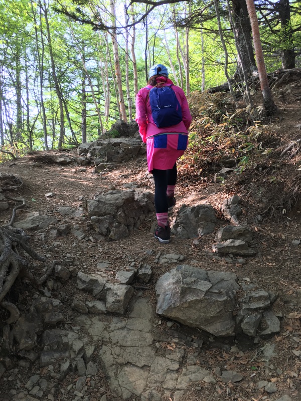 20170610nyukasayama22