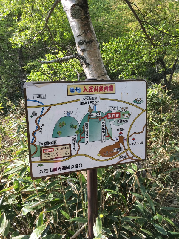 20170610nyukasayama24