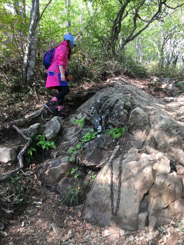 20170610nyukasayama26