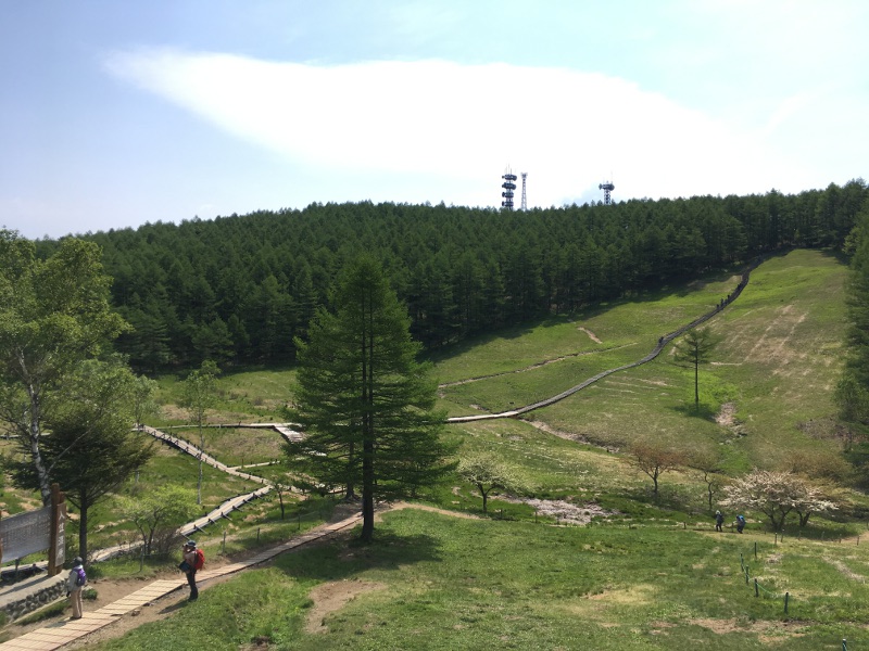 20170610nyukasayama54