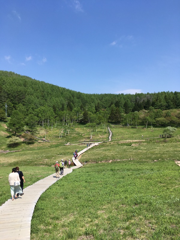 20170610nyukasayama56