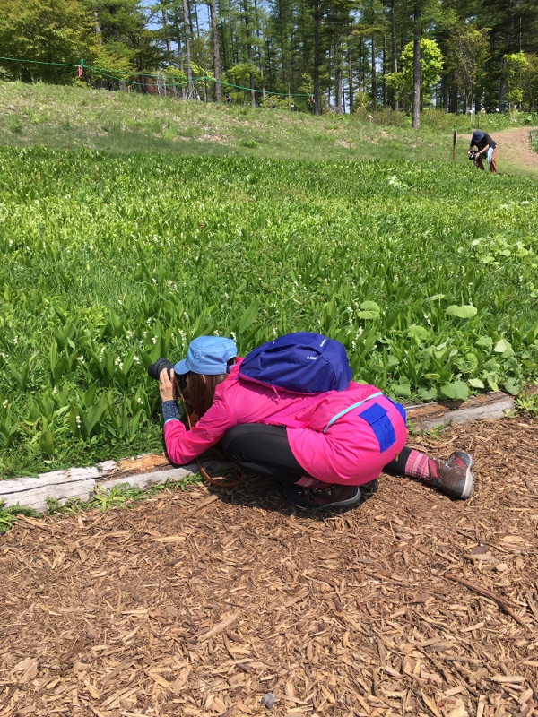 20170610nyukasayama70