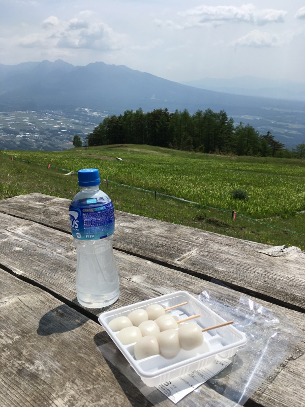 20170610nyukasayama72