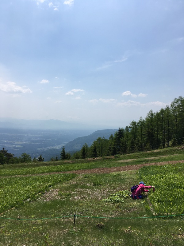 20170610nyukasayama73