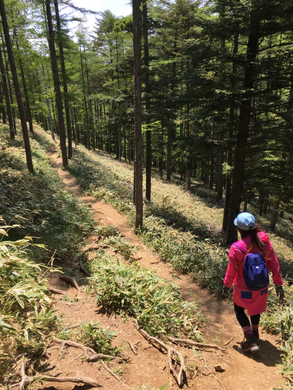 20170610nyukasayama76